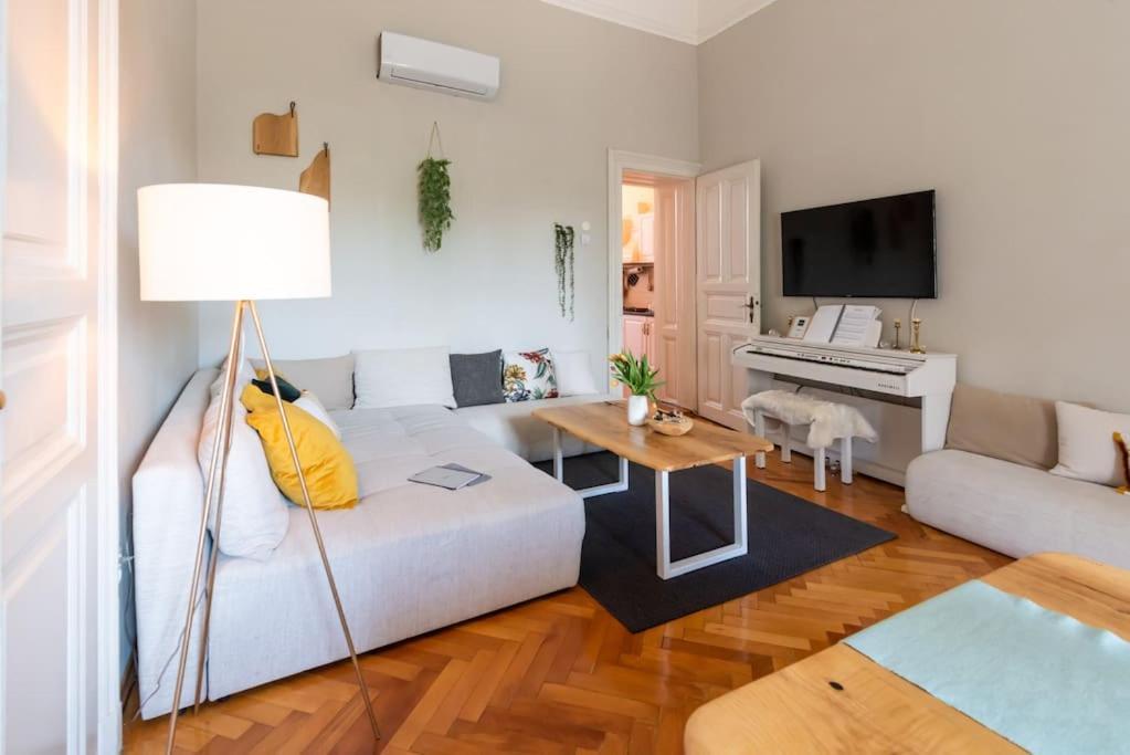 No.8: Lovely & Cosy 3-Room Heart Of The City Timişoara Exterior foto