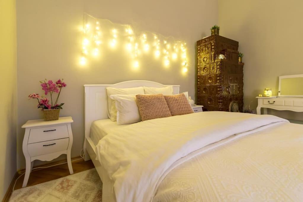 No.8: Lovely & Cosy 3-Room Heart Of The City Timişoara Exterior foto