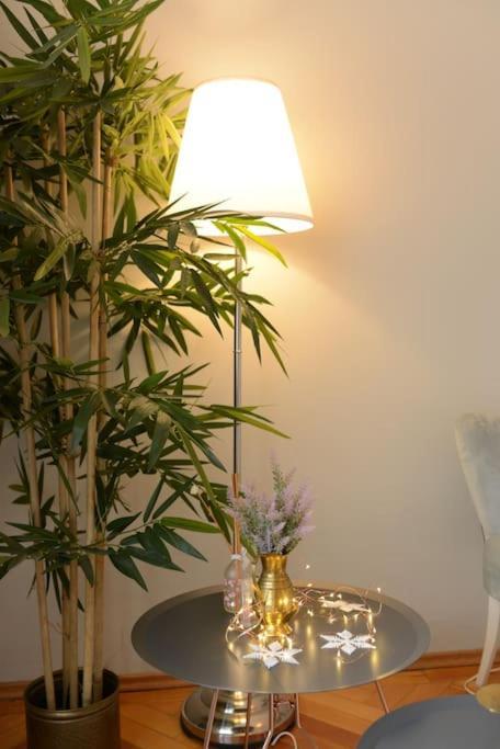 No.8: Lovely & Cosy 3-Room Heart Of The City Timişoara Exterior foto