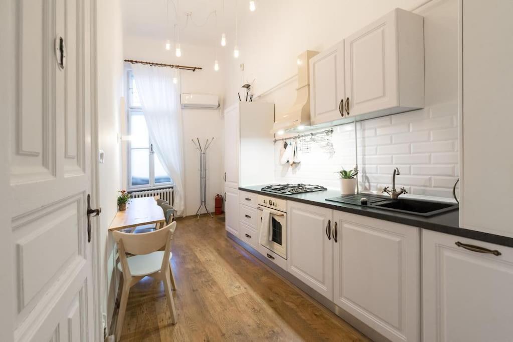 No.8: Lovely & Cosy 3-Room Heart Of The City Timişoara Exterior foto